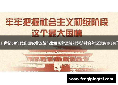 上世纪60年代我国农业改革与发展历程及其对经济社会的深远影响分析