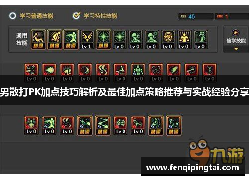 男散打PK加点技巧解析及最佳加点策略推荐与实战经验分享